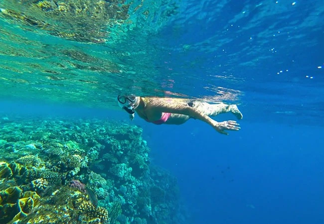 SNORKLING EN RAS MOHAMED